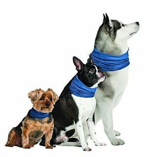 Nya märken K9 Chill Dog Cooling Collar (Small / Medium 8