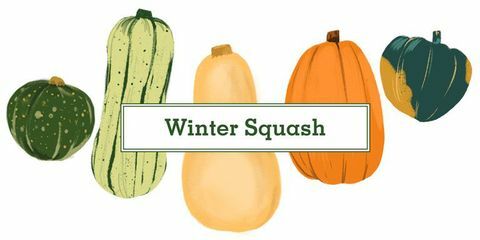 16 typer av squash