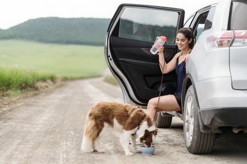 en ung latinsk kvinna som sitter i sin bil med dörren öppen på en väg på landsbygden och en hund som dricker vatten ur en skål