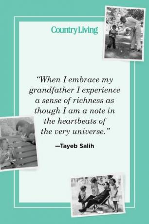 "När jag omfamnar min farfar upplever jag en känsla av rikedom som om jag är en anteckning i hjärtslag i själva universumet" - Tayeb Salih