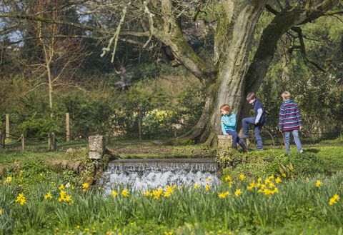 Barn som leker i trädgården på våren på Mottisfont, Hampshire © National Trust Images James Dobson