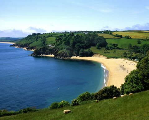 Devon beach Blackpool Sands