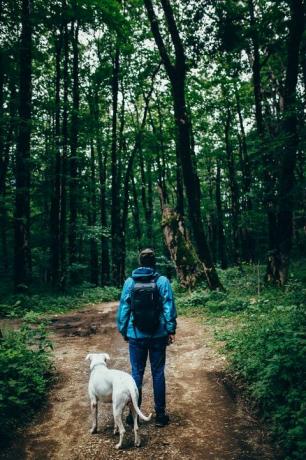 man med en hund i skogen