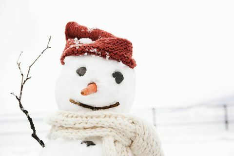 snögubbe bär hatt och halsduk med morotnos och stickarmar