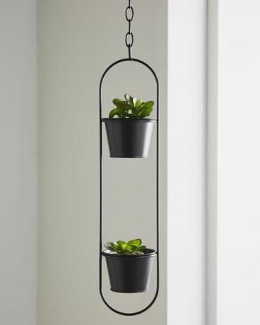 lalita hängande planter