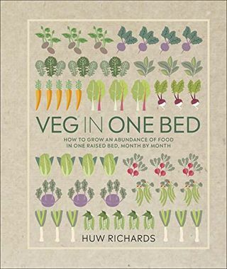 Grönsaker i en säng: Hur man odlar ett överflöd av mat i en upphöjd säng, månad för månad