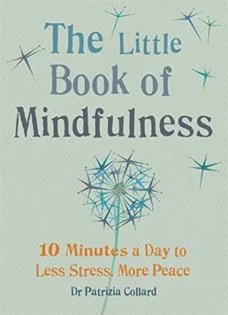 Den lilla boken om mindfulness