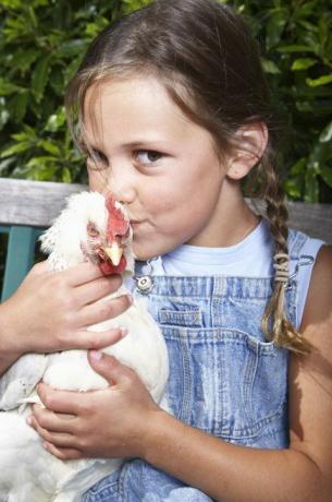 CDC varnar mot kyssande kycklingar