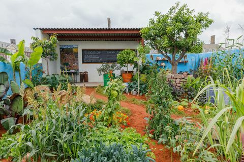 camfed garden chelsea blommeshow