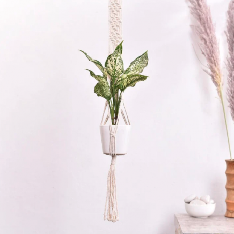 Macrame hängande plantering