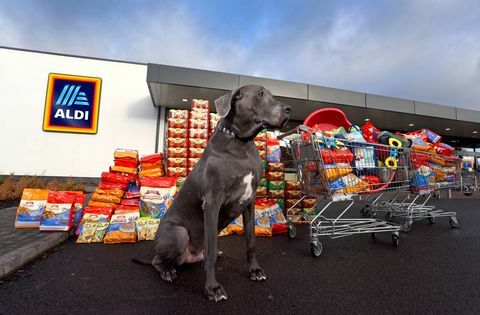 Aldi - Pet Event-sortiment - mat