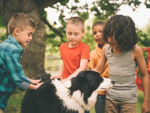 Hund som leker med en grupp barn utanför