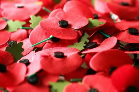 British Legion introducerar två vallmo med begränsad upplaga för Remembrance Sunday 2018