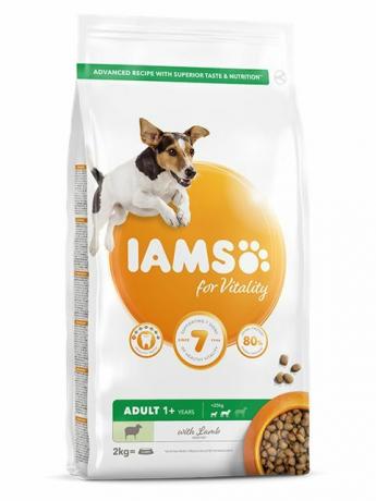 iams djurfoder