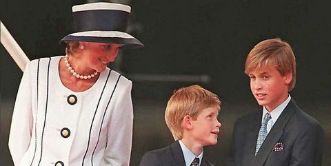 Prins William och prins Harry talar om deras ånger vid "rusade" sista samtalet med prinsessan Diana