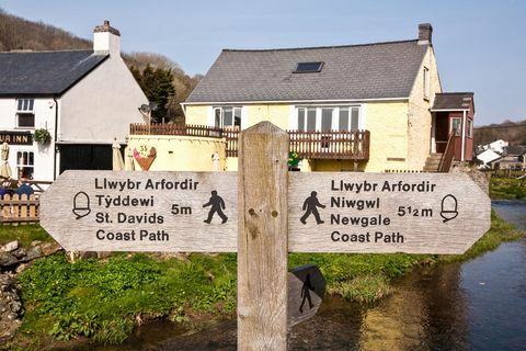 pembrokeshire promenader