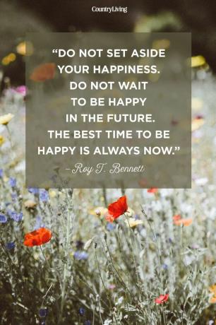 p" Lägg inte undan din lycka. Vänta inte med att vara lycklig i framtiden. Den bästa tiden att vara lycklig är alltid nu." s