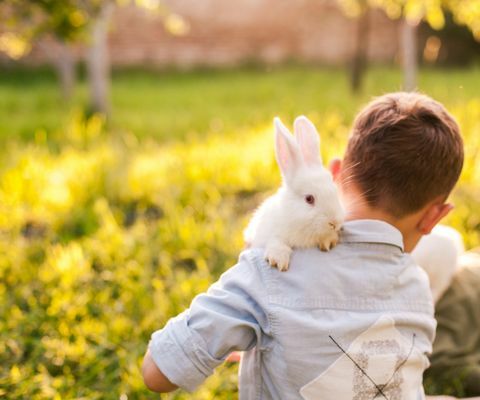 Pojke som omfamnar hans kanin i parken