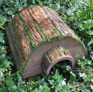 Tiggy Wood Hedgehog House