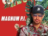 Magnum P.I., säsong 1