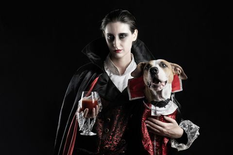 ung kvinna med glas röd drink och hennes sällskapsdjur valp klädd i samma dracula kostym