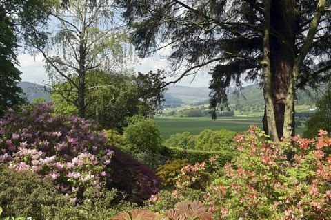 Bolfracks Estate - Perthshire - trädgårdar