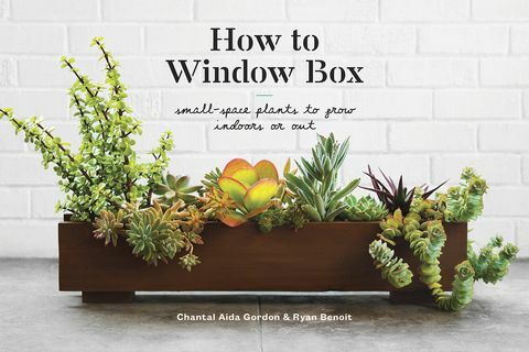 hur man fönsterbox bok 