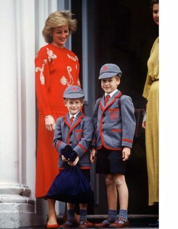 Prins Harry, prins William i skolan