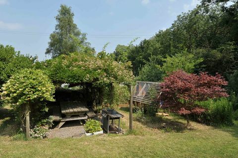 Stargazer - Holcombe Rogus - Devon - Airbnb trädgård