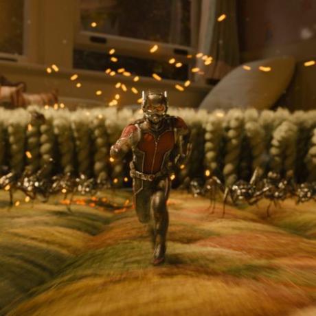 hur man tittar på alla fantastiska filmer i ordning - ant-man