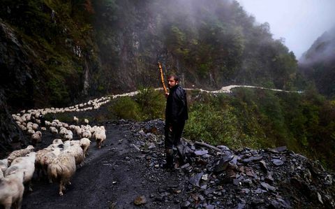 fårbesättning - dimma - Abano Pass - Georgien - Amos Chapple / RFE / RL