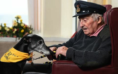 Assistance Dogs vinnare av Årets hundfotograf