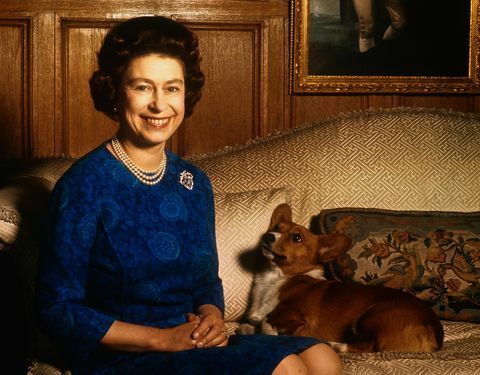 Meghan Markles hund rider med drottningen Elizabeth till Windsor