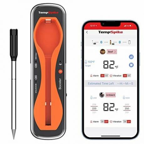 TempSpike 500FT Truly Wireless Kötttermometer