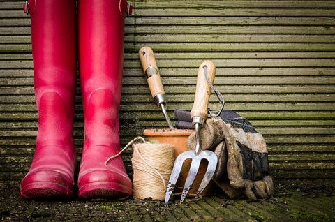 Trädgårdsredskap och wellies