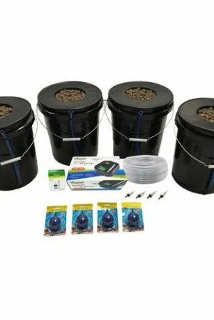 Deep Water Culture Hydroponic 4-Plant System