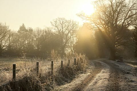 Frost på vintervägen