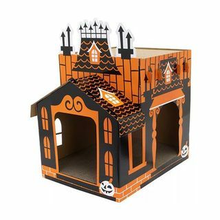 Haunted Cat House