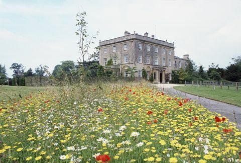 tetbury, Storbritannien 14 juli en vild blomsteräng planterad av prins Charles vid Highgrove, landets hem till Wales familjefoto av tim graham fotobibliotek via getty images