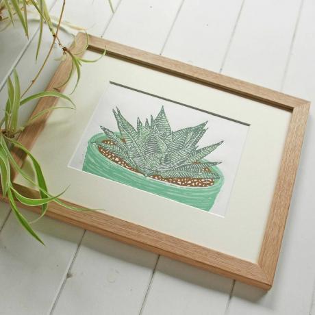 Haworthia - Begränsad upplaga - Original linosnitttryck