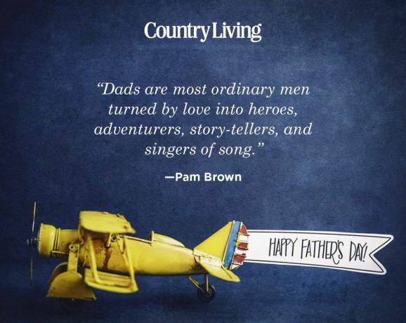 fars dag citat för vänner av pam brown på ett foto av ett gult leksaksplan med glad fars dag banner