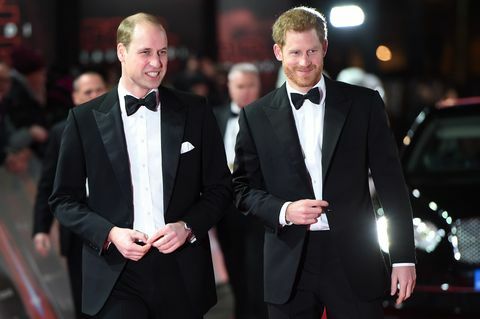 Prins William, prins Harry