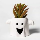 Ghost Halloween Succulent